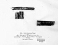 Image Associated With the Occurence
